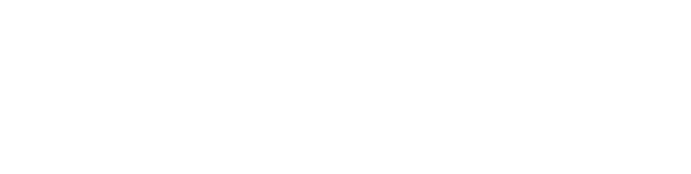 Perplexity Fellowship